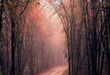 爱游戏体育：[英超]萨拉赫挑传后点 加克波鱼跃冲顶破门.