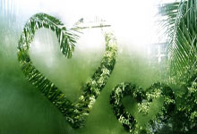 [澳网]张盛：小兹韦列夫心态方面有很大提升.